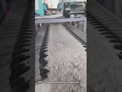Double Roller Granulator Compound Fertilizer Production Line