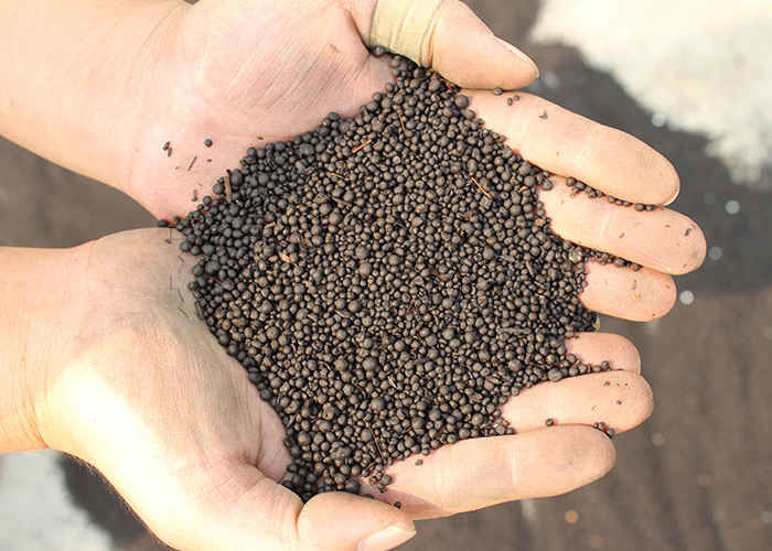 1-10T/h Capacity Wet Type Organic Fertilizer Granulator For Organic Compost Powder